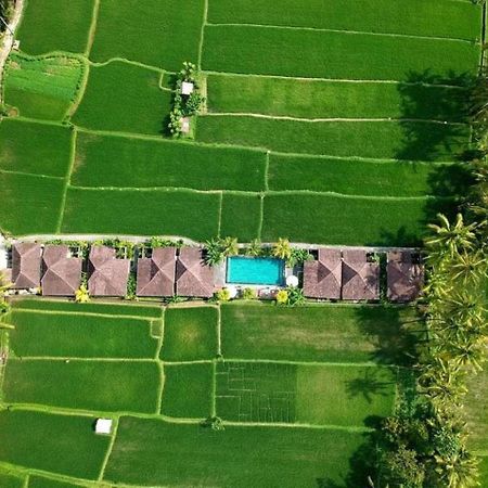 Intan Villa & Suite Ubud 외부 사진