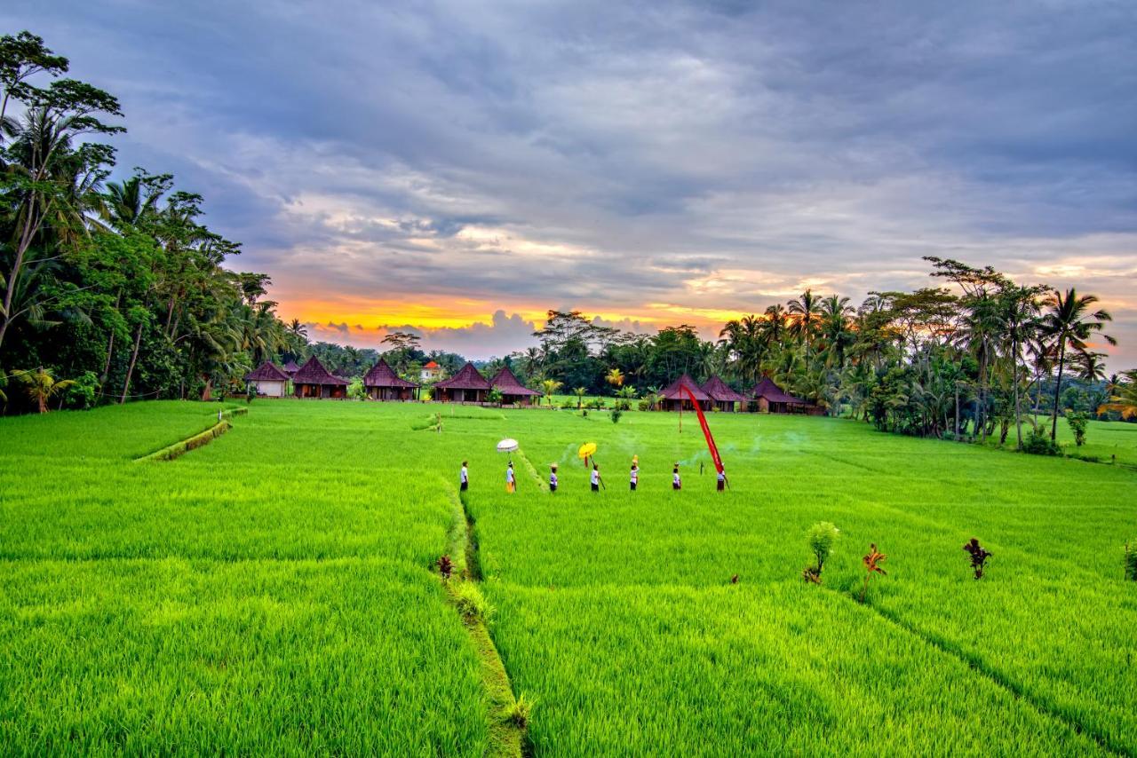 Intan Villa & Suite Ubud 외부 사진