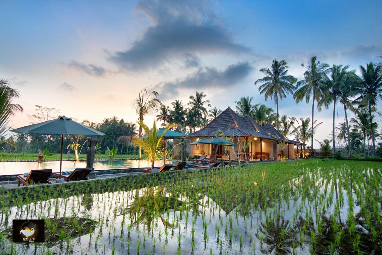 Intan Villa & Suite Ubud 외부 사진
